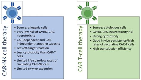 Cancers | Free Full-Text | CAR-NK as a Rapidly Developed and Efficient ...