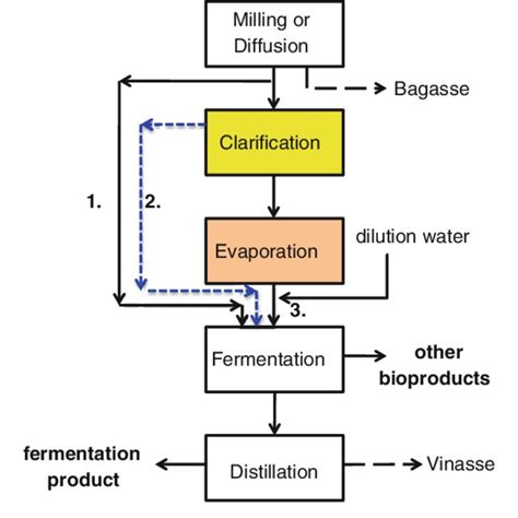 Process flow diagram showing the multiple pathways for fermentation of ...