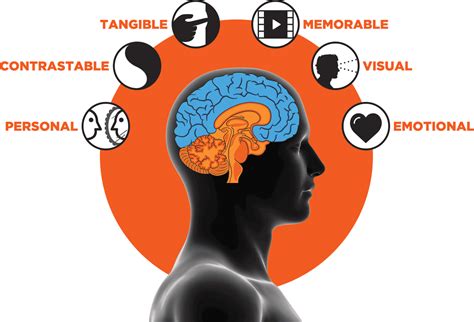 What Is Internal Stimuli And External Stimuli