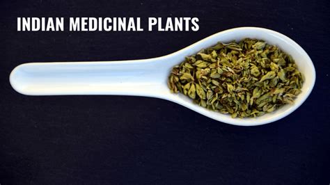 Top 8 Indian Medicinal Plants & Their Uses - TheCompleteHealth