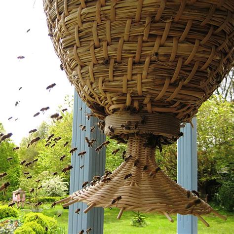 The Sun Hive: experimental Natural Beekeeping - Bermuda Bees