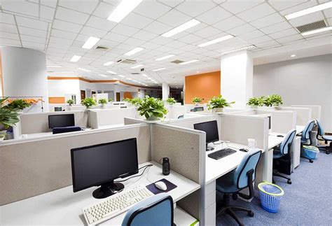 Types of Office Layouts - WA Special Projects