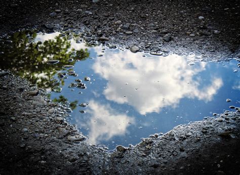 Puddle Water Reflection - Free photo on Pixabay