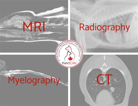 A Comparison of Imaging Modalities