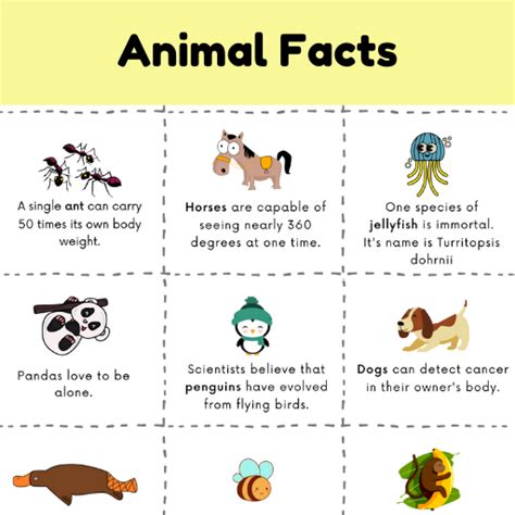 12 Fun Facts About Animals for kids | Free Printable - Shining Brains