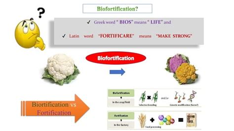 BIOFORTIFICATION OF VEGETABLE CROPS.pptx