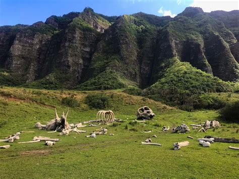 Jurassic Park Hawaii | How to Visit Kualoa Ranch - Free to Travel Mama