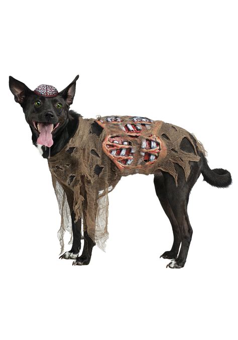 Zombie Dog Costume