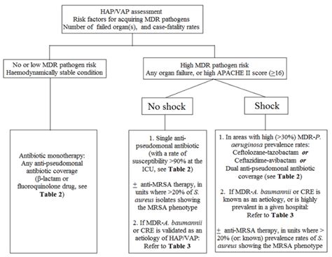 Pseudomonas Aeruginosa Uti Treatment - Carpet Vidalondon