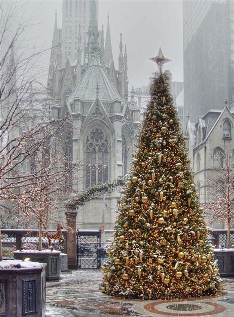 St. Patrick’s Cathedral, New York | Christmas scenes, New york ...