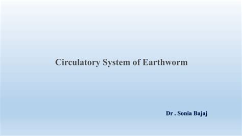 Circulatory system of earthworm | PPT