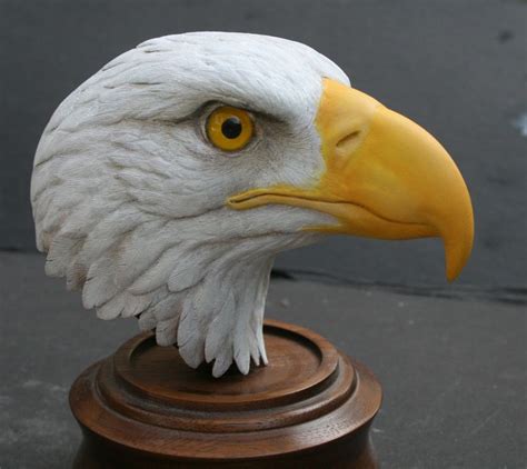 Bald Eagle Head Wood Carving | Images and Photos finder