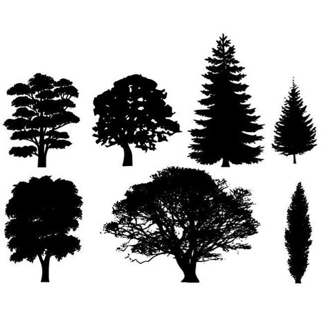 Tree silhouettes pack.ai Royalty Free Stock SVG Vector