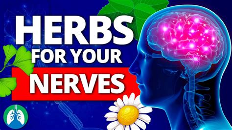 Top 10 Best Herbs for Your Nerves (Nervous System Boost) - Vanitas Kitchen