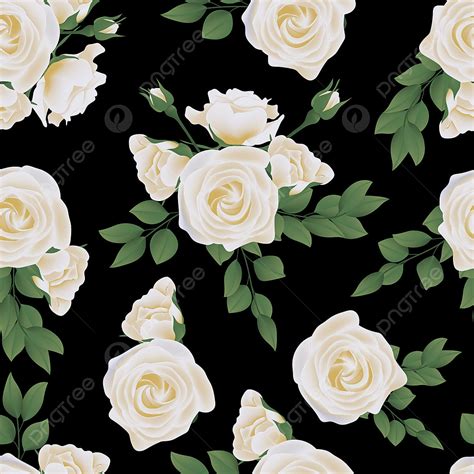 Beautiful White Rose Flower Wallpaper