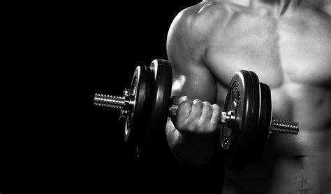 young Adult, dumbbell, health Club, strength, weightlifting, holding ...