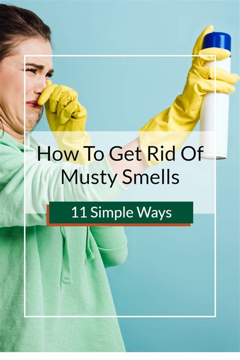 How To Get Rid Of Musty Smells In Cabins, Basements And More ~ 11 ...