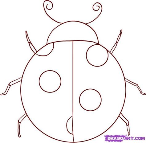 Free Ladybug Drawing, Download Free Ladybug Drawing png images, Free ...