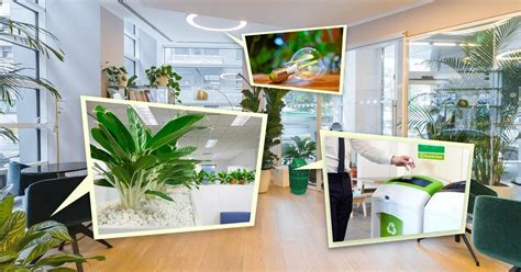 10 Green Office Ideas - A Workspace for Sustainability