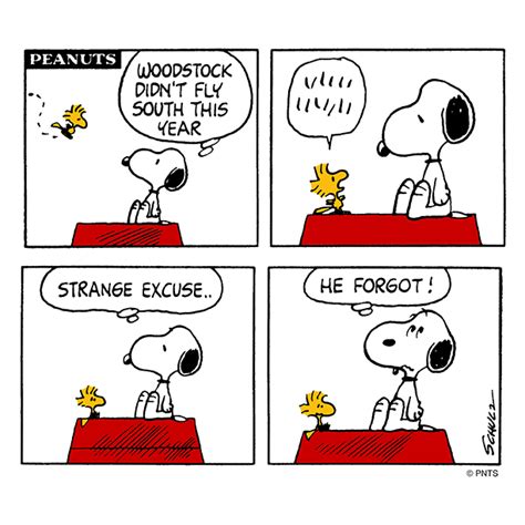 Classic Woodstock | Snoopy funny, Snoopy cartoon, Snoopy and woodstock