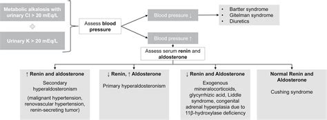 A Severe Case of Hypokalemic Metabolic Alkalosis: A Quiz - American ...