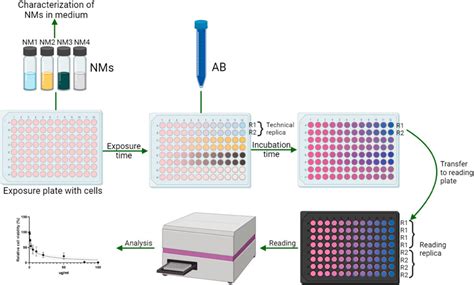 Frontiers | The alamar blue assay in the context of safety testing of ...