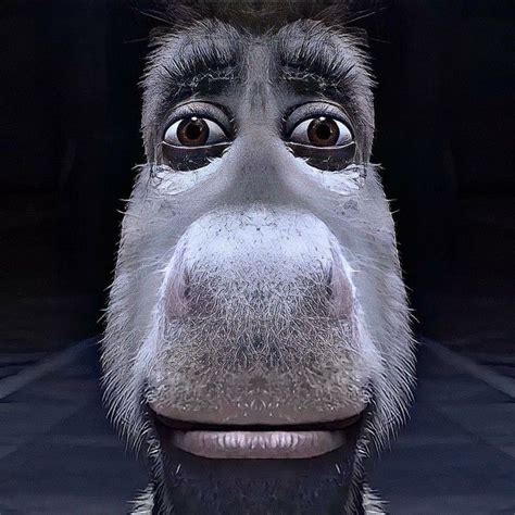 goofy ahh donkey stare | Shrek funny, Shrek, Shrek donkey