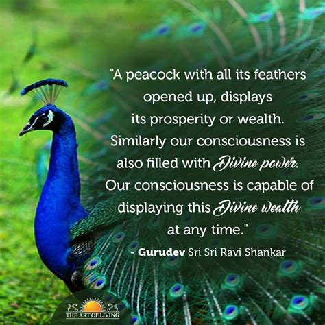 "A peacock with all its feathers opened up, displays its prosperity or ...