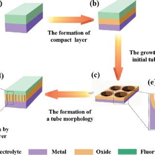 (a) Schematic of FAD theoretical expectations and (b) schematic of the ...