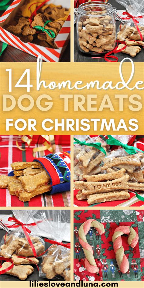 14 Homemade Christmas Dog Treats - Lilies, Love, and Luna