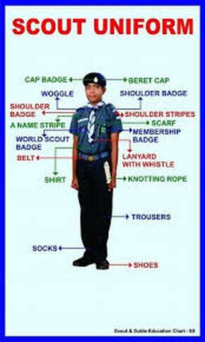 SCOUT UNIFORM - BSG SCOUT