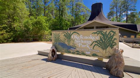 Okefenokee Swamp Park Tours - Book Now | Expedia