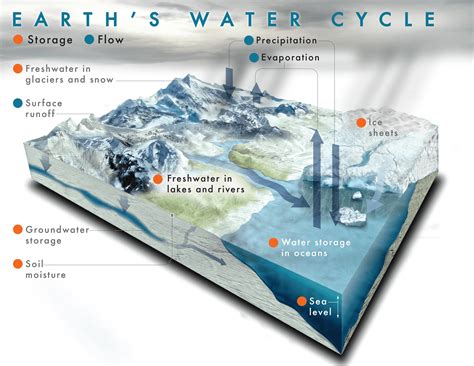 Precipitation and the Water Cycle - Science Pickle