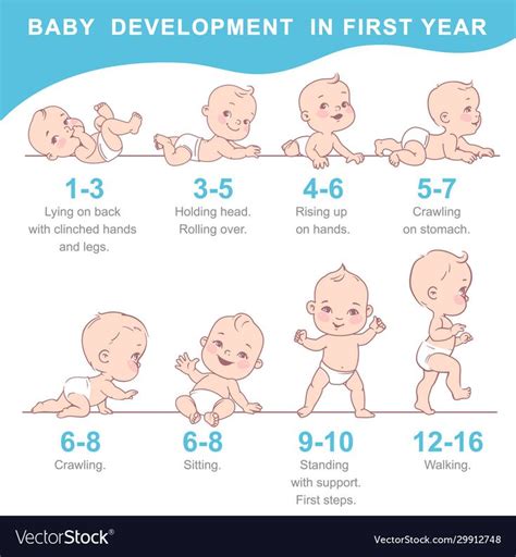 Infographic of baby growth from newborn to toddler with text. First ...