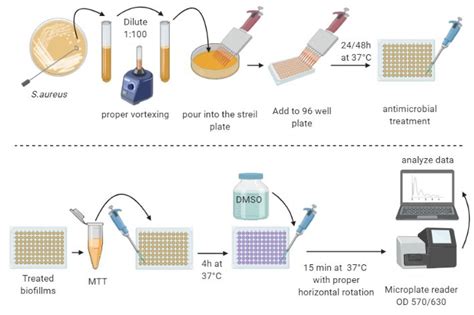 (PDF) MTT assay