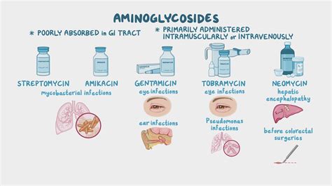 Antibiotics - Aminoglycosides: Nursing pharmacology - Osmosis Video Library