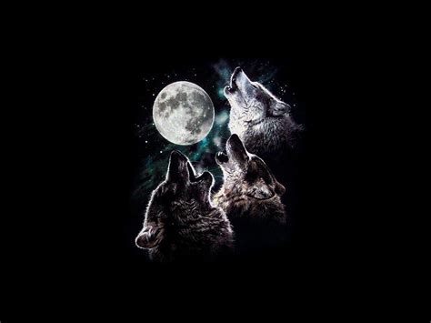 3 wolf moon howling Moon Night sky stars three trio wolves HD wallpaper ...