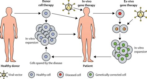 What is Regenerative Medical Therapy? - Latakentucky