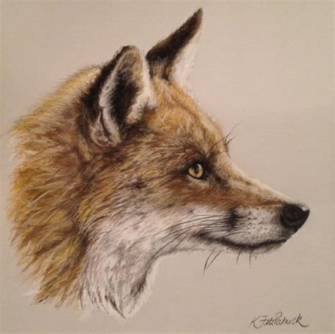 Red Fox Drawing | Red Fox II, Wildlife Art, Kirstie Fitzpatrick, SAA ...