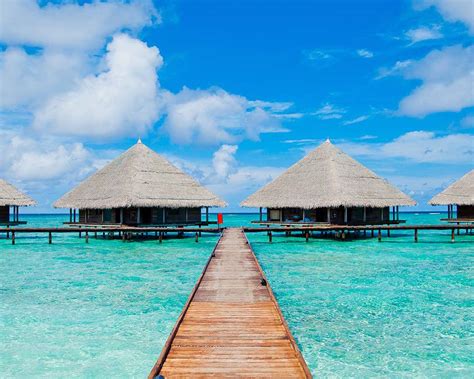 How To Plan The Perfect Trip To Maldives - Wandering Wagars