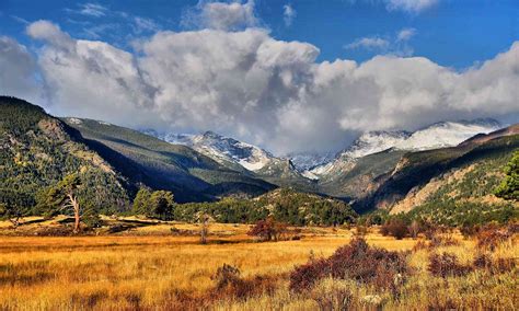 Rocky Mountains and Great Plains | Defenders of Wildlife