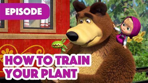 Masha and the Bear 💥 NEW EPISODE 2022 💥How to Train Your Plant (Episode ...