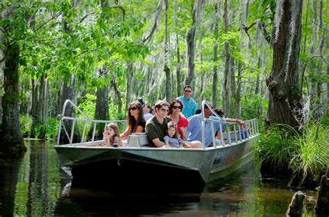 The 6 Best New Orleans Swamp Tours of 2022