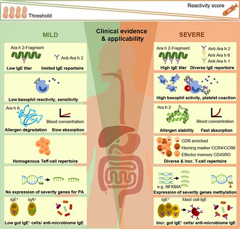 Peanut Allergy Level Chart