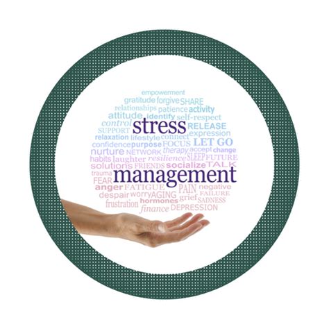 Stress Management Overview | Successful Solutions