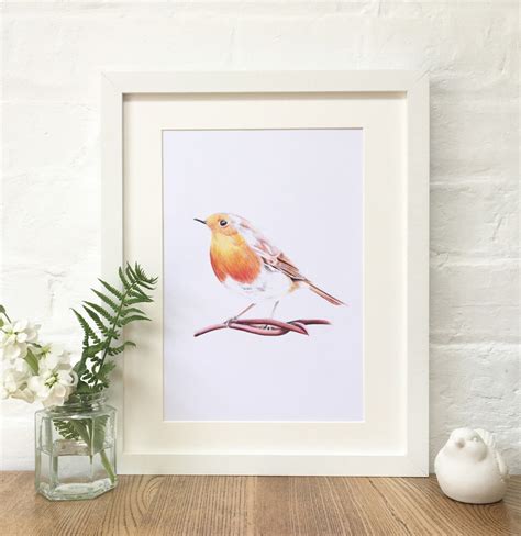 Robin Illustrated Print - Etsy