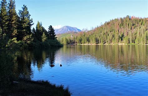 9 Best Campgrounds at Kings Canyon National Park, CA | PlanetWare