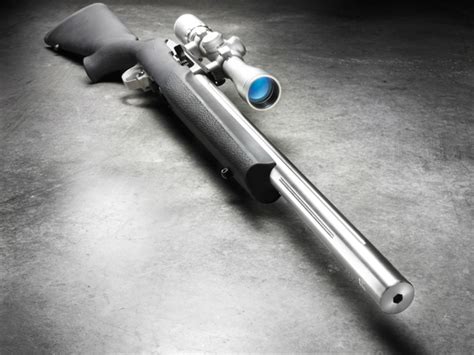 Ruger 10 22 Integral Silencer Barrel - Carpet Vidalondon