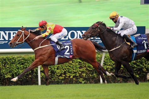 Big day for Hong Kong horse racing; 2-year-old fillies shine in Japan ...