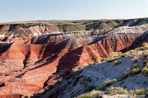 PETRIFIED FOREST NATIONAL PARK - PAINTED DESERT - LACEY POINT - STEARNS ...